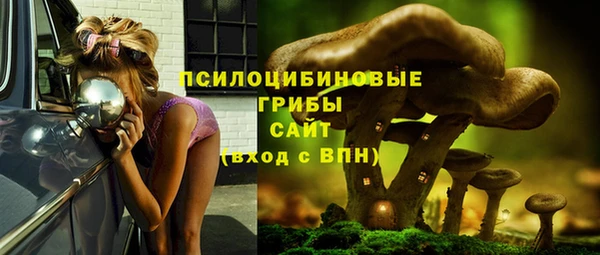 ешки Балахна