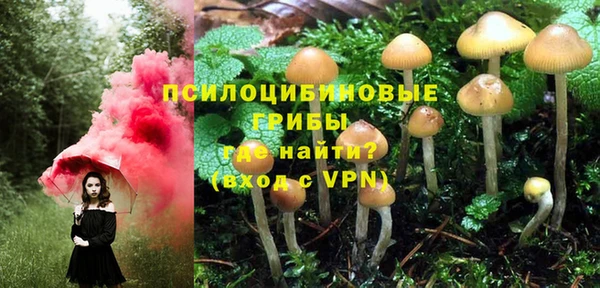 ешки Балахна