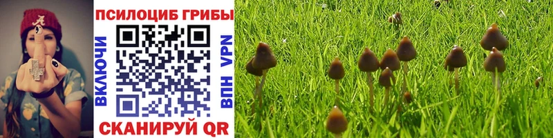 Псилоцибиновые грибы ЛСД  дарк нет формула  Чебаркуль 
